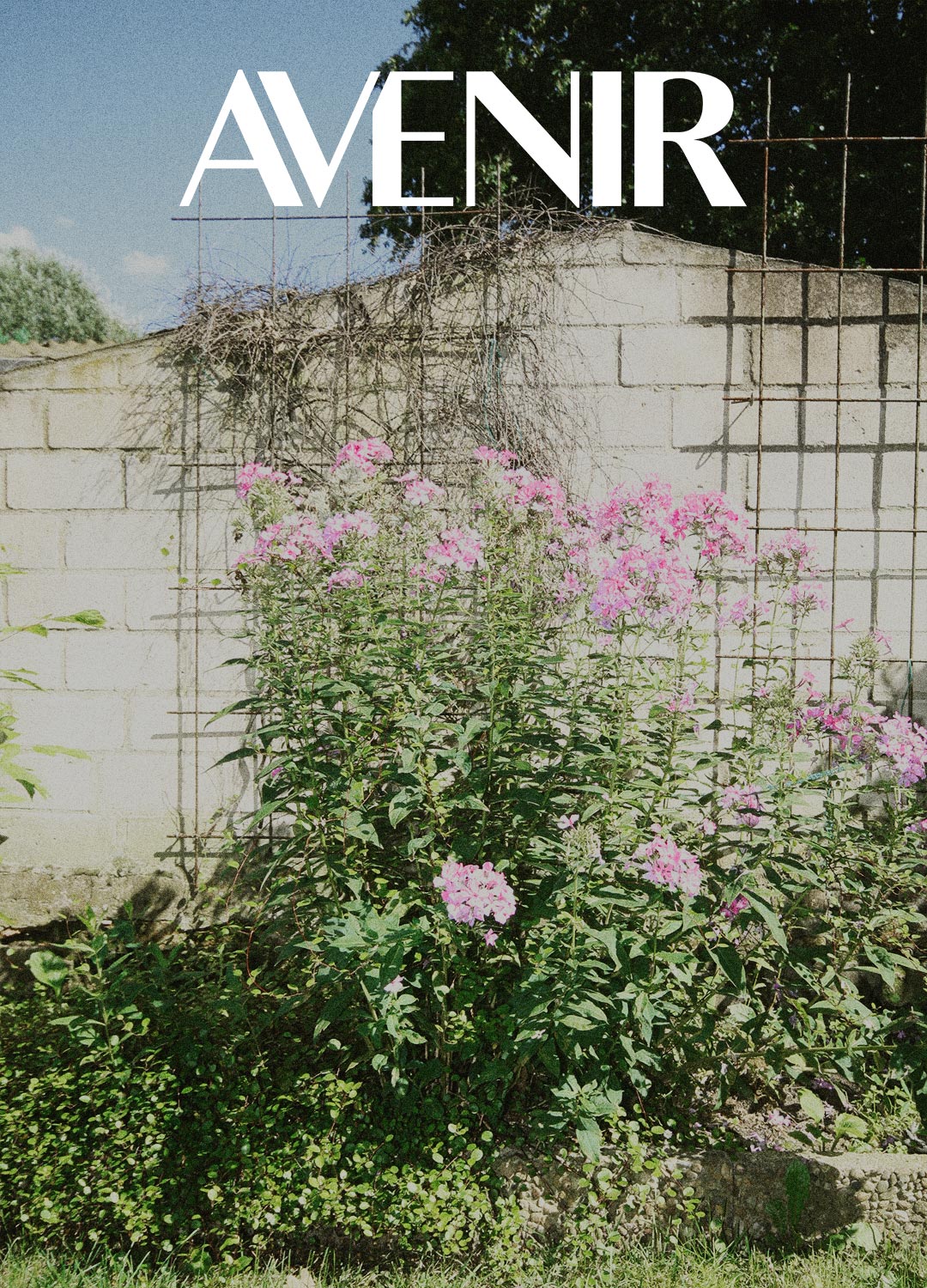 Late Summer & Autumn